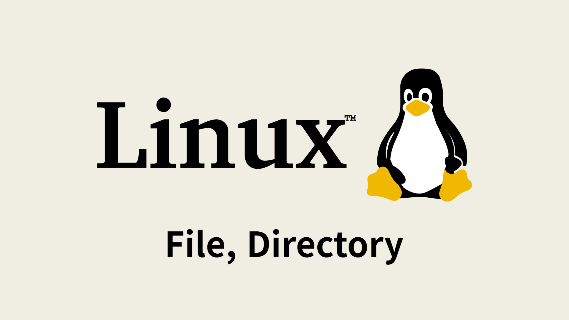 [Linux] 파일과 디렉토리